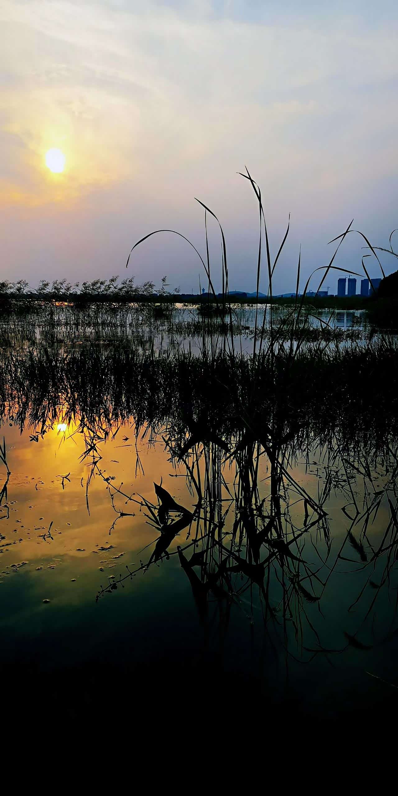 白龟湖畔美丽风景