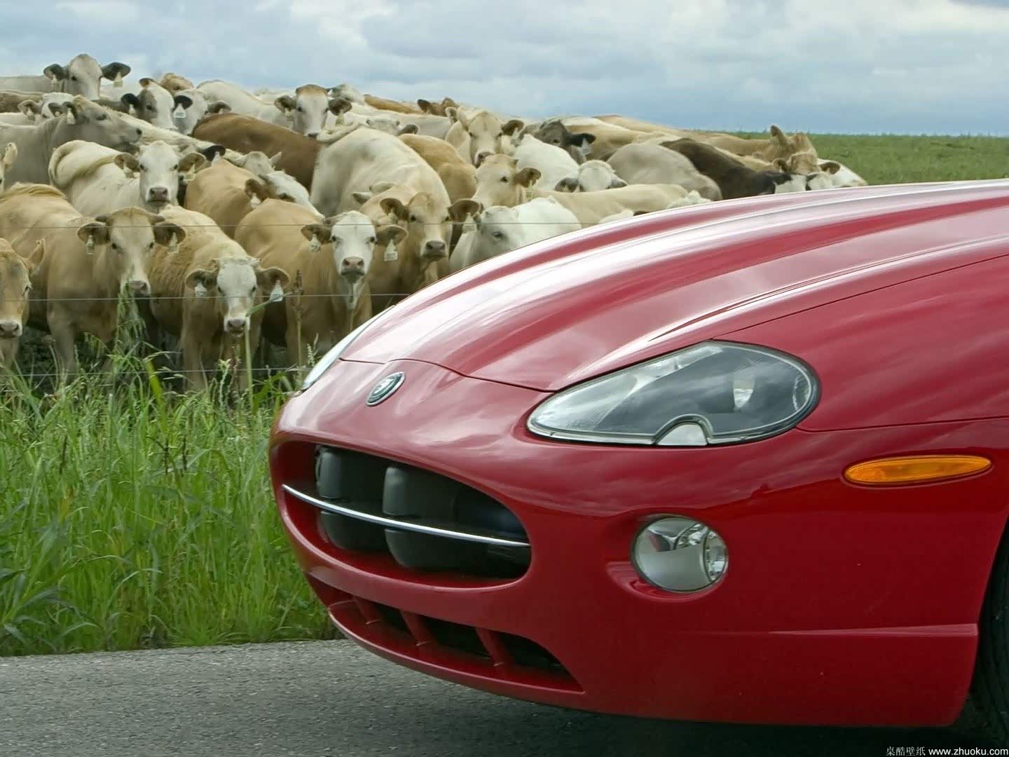 美洲虎xk8一款品味奢华精巧和工艺完美组合的跑车