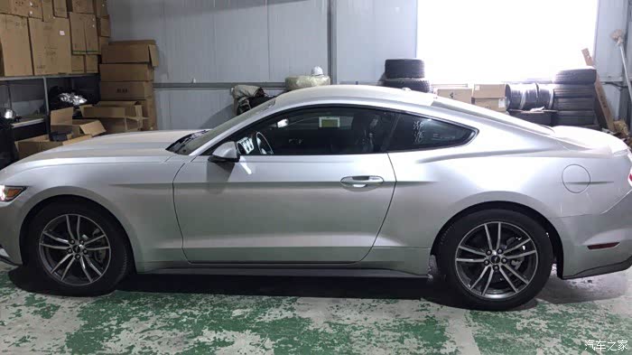 银色的野马贴什么拉花求建议