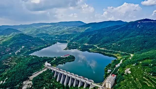 黑松林"天然氧吧",无际的松林在层层峰峦间起伏