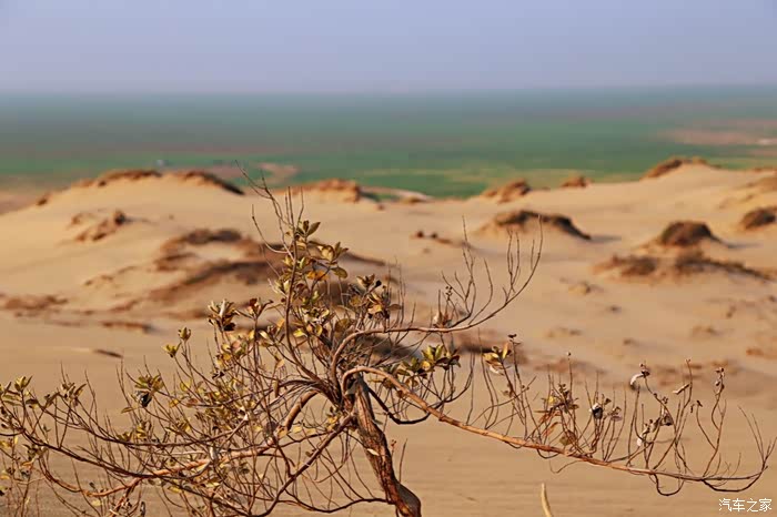 南方鄱阳湖小沙漠这里没有游客适合发呆
