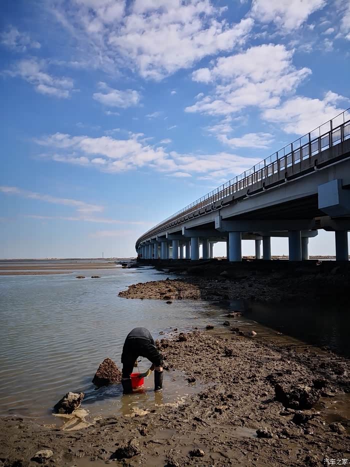 中秋节曹妃甸赶海
