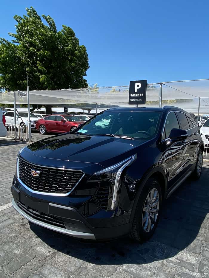别徘徊带上黛蓝凯迪拉克xt4作业申精