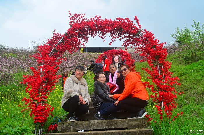 35plus陪伴游北碚歇马桃花节
