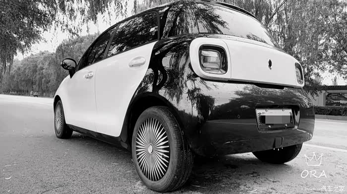 黑白欧拉方寸间黑猫品味丰富人生