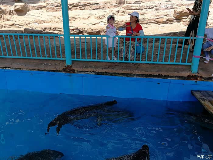 吉林市长安车友会去海洋馆让孙女有个快乐同年