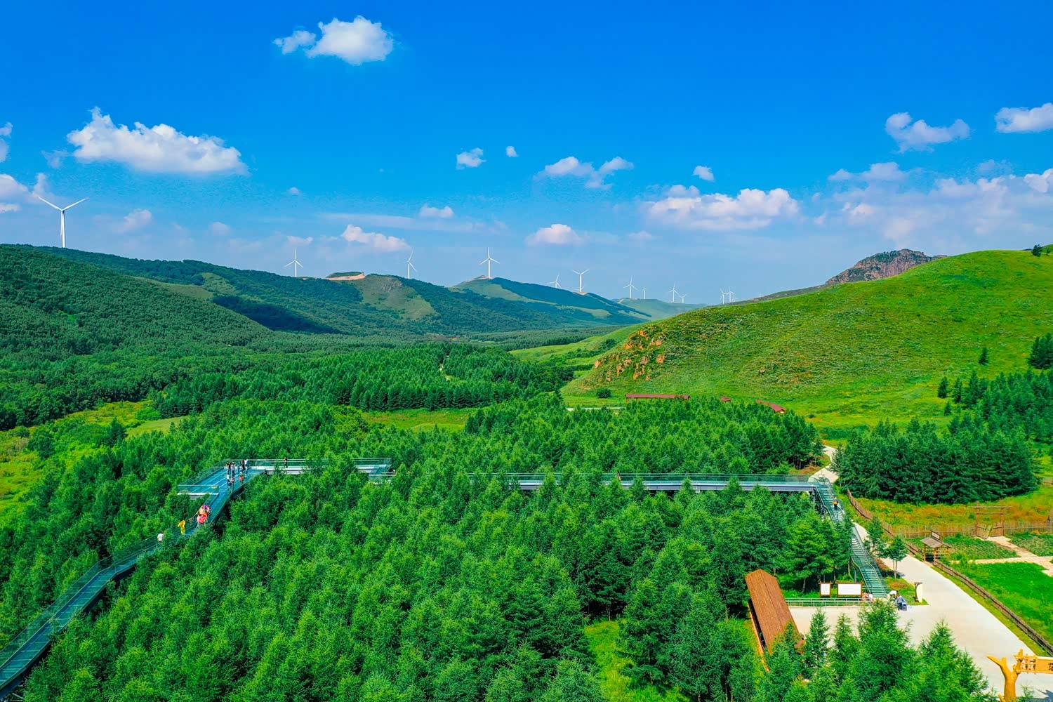 16°七彩森林|心动便是美,深情便是锦绣