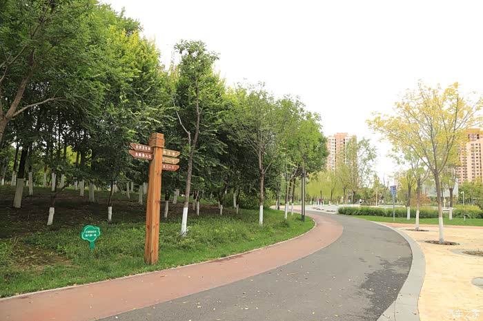 自驾新款55plus游双青公园