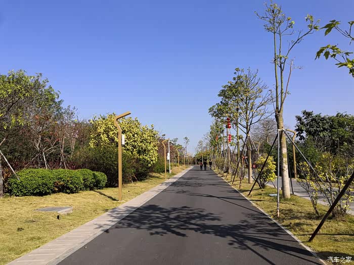 步入环境优美的佛灵湖生态园
