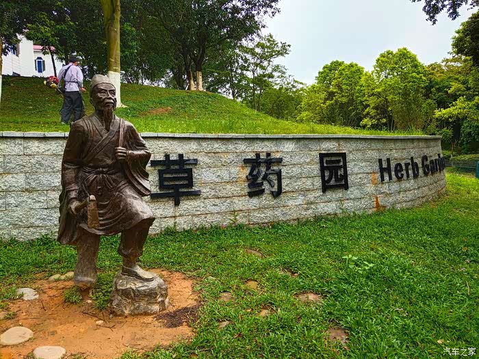 【旋风战队】东莞植物园周末游之草药园