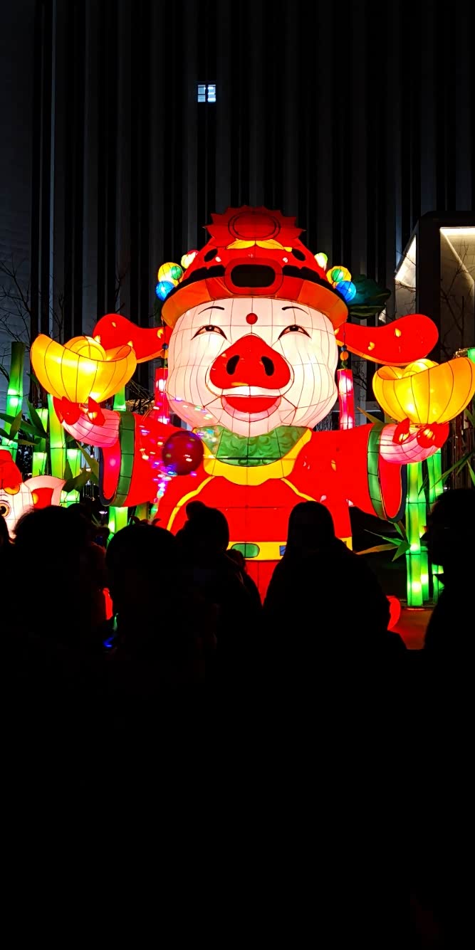 春节里赏花灯
