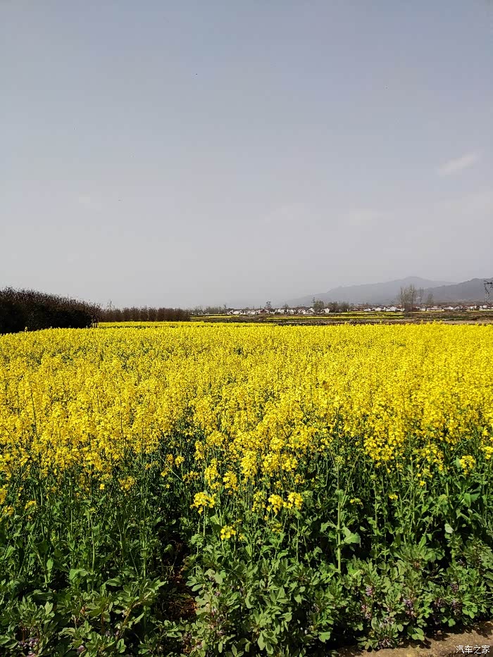 开上我的小五周游整个春天