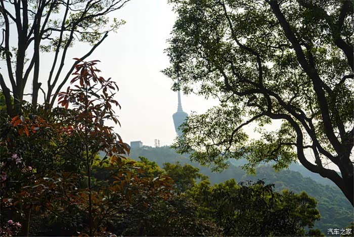 小梧桐山顶广场