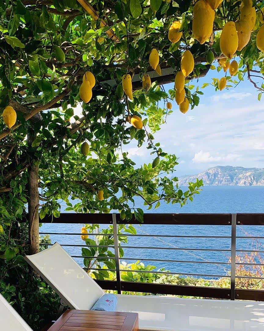 意大利positano波西塔诺的柠檬树