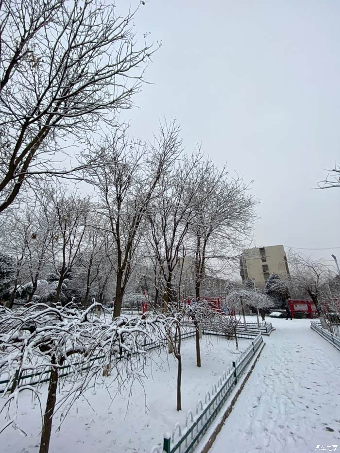 唐山2020年第一场雪报到