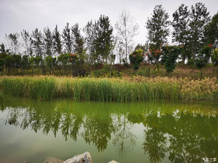 自驾捷达vs7畅游沙河湾湿地公园