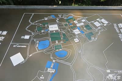 绿树成荫,泉水叮咚,虎跑公园小记