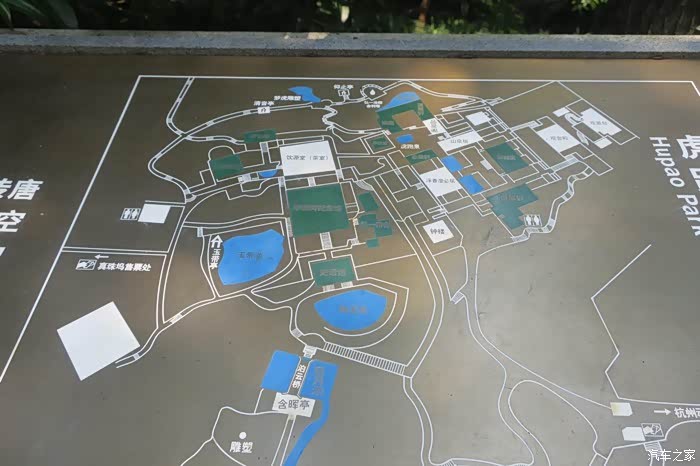 绿树成荫,泉水叮咚,虎跑公园小记