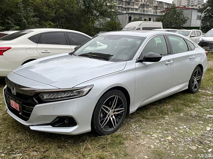 补几张格陵兰白的图