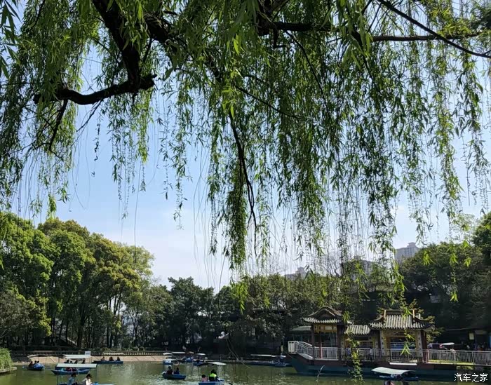 和沃尔沃s60l自驾游望州公园景区