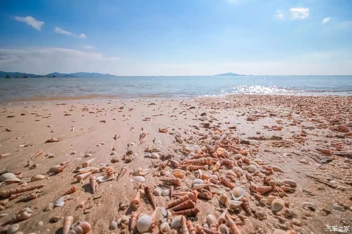 台山贝壳海滩青山咀