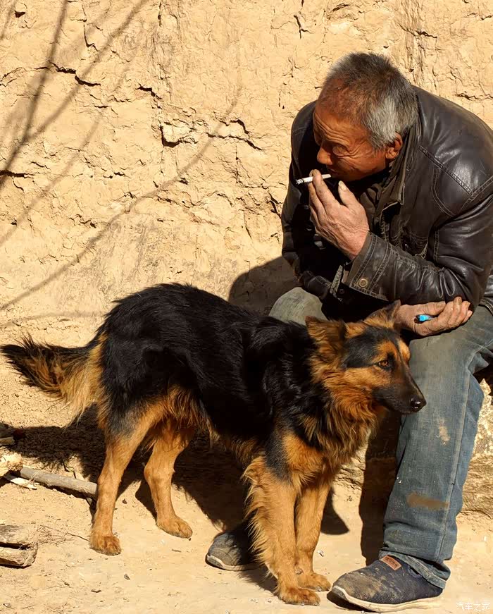 留守老人和他的狗子