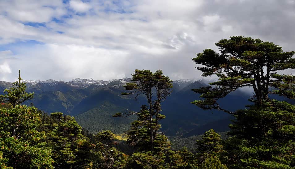 青山翠柏,气势磅礴,呼吸大自然新鲜空气,春和景明