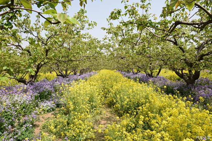 降温送关怀自驾周家庄特色观光园