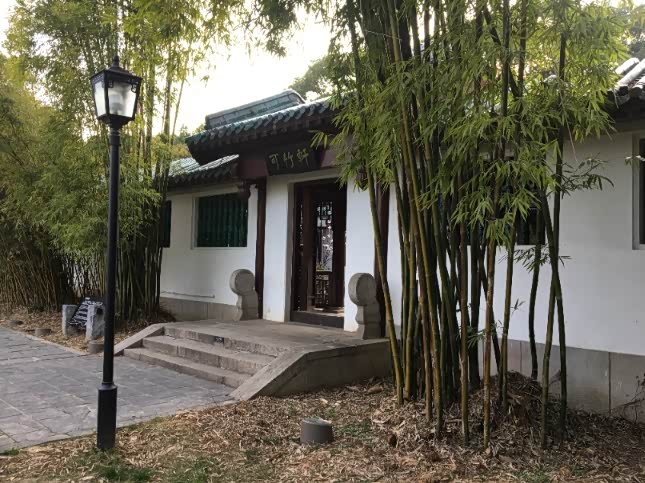 周末午后游苍柏园