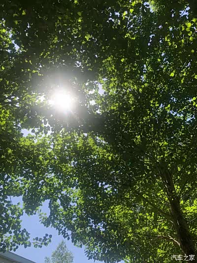 昂科旗让阳光照进生活