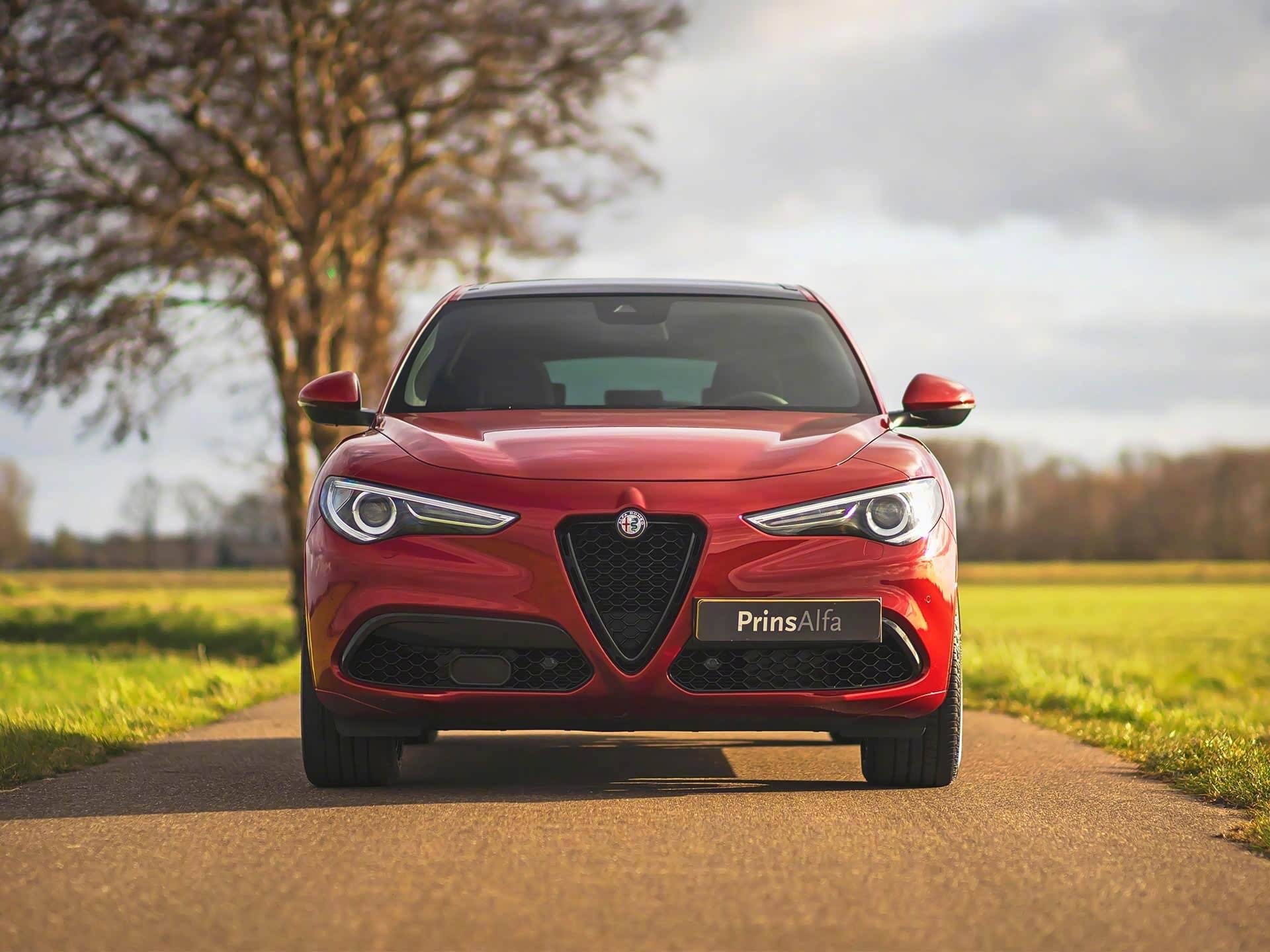 阿尔法·罗密欧论坛_手机汽车之家