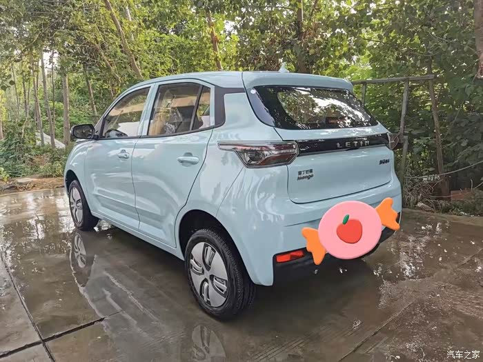 雷丁芒果出门野炊