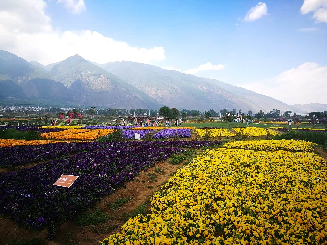 【图文】云南大理花语牧场(一)