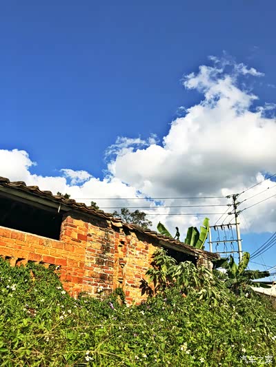 【欢天喜地迎新春】鞭炮响,满地红,絮絮烟火,带