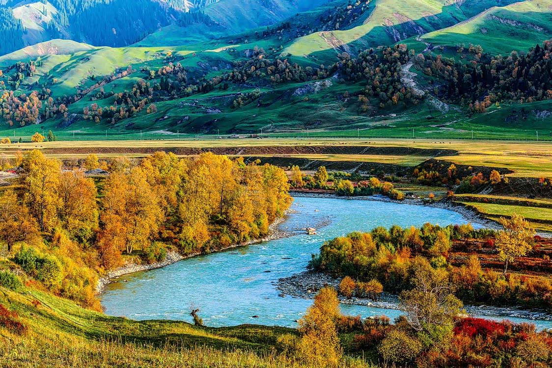 唐布拉大草原秋意正浓,苍松翠柏与金色胡杨,色彩斑斓,如诗如画