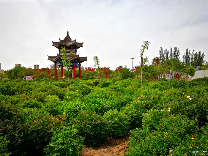 驾到鄂尔多斯康巴什