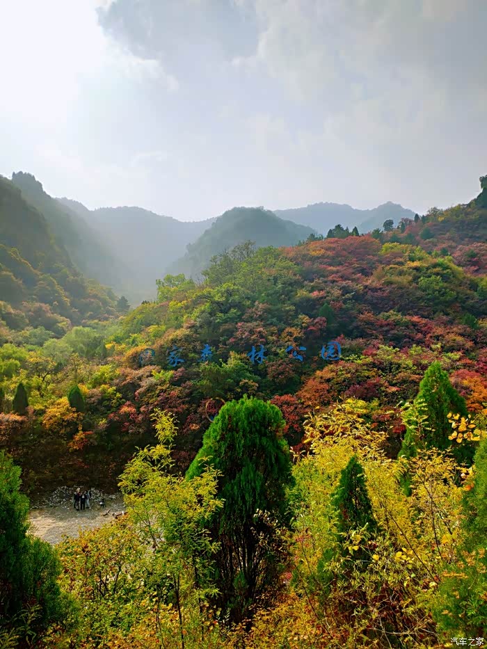 探秘太行山仙台山看红叶