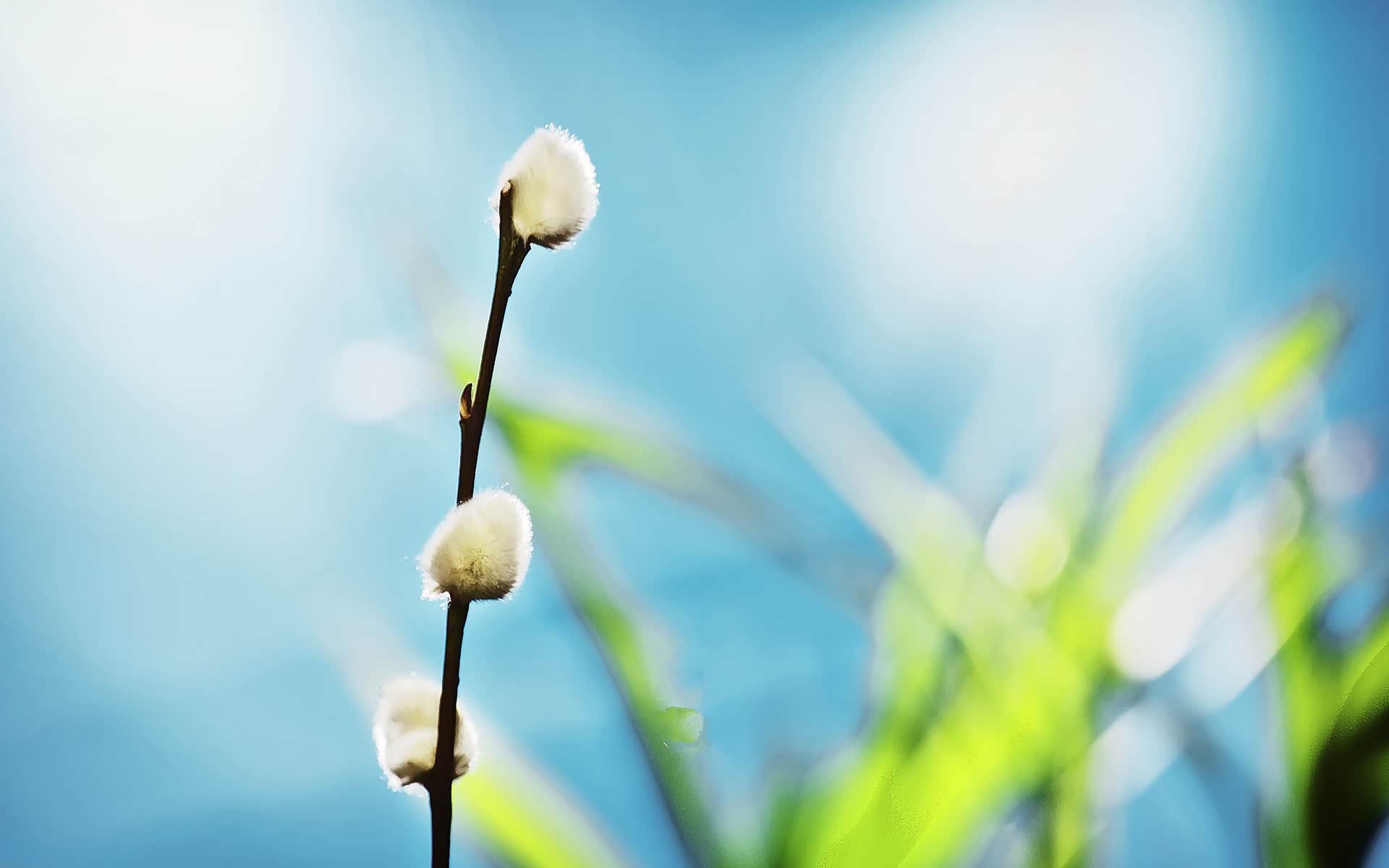 不吵不闹听听音乐放松心情然后睡一觉