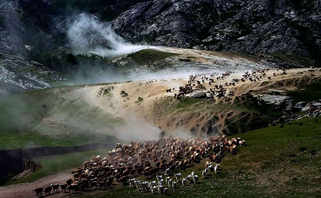 人间仙境伊犁的部落迁徙,壮观!唯美