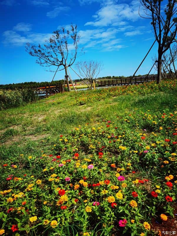 mg hs打卡东滩湿地公园