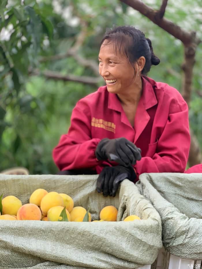 提车贴90后新农民单人杭州提车记高速1200公里长途开回家