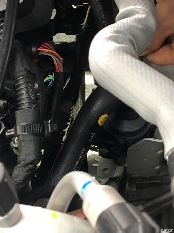 19款macan发动机拓号问题