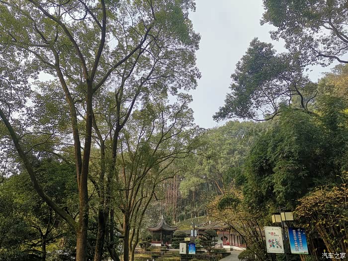 你好2021泸州忠山公园闲游2