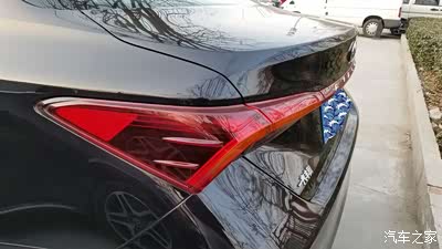 凹凸有致的龙尾看起来层次感十足,就显得更特立独行.