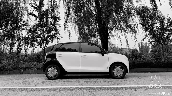 黑白欧拉方寸间黑猫品味丰富人生