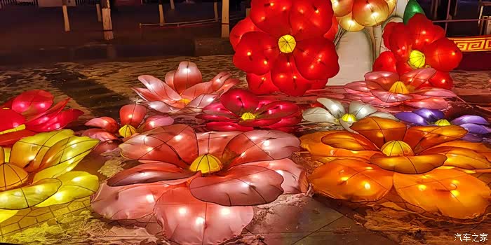 型鲨出没赏花粉灯,赶紧避让!