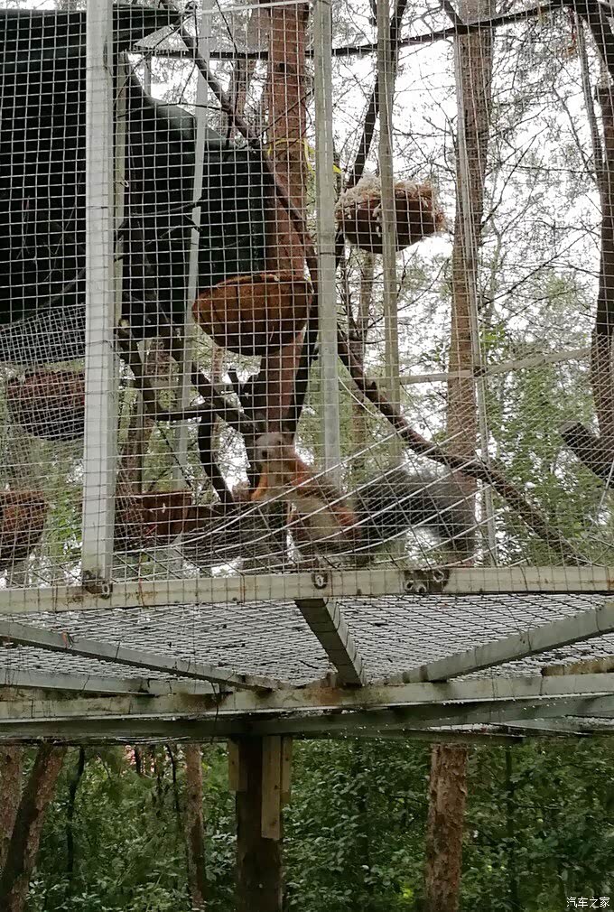 带孩子们去成都松鼠部落假日乐园嗨翻天