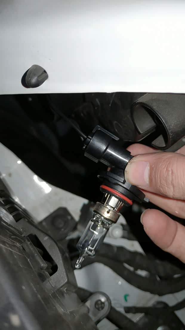 官方更换led大灯活动以及换灯教程分享给大家