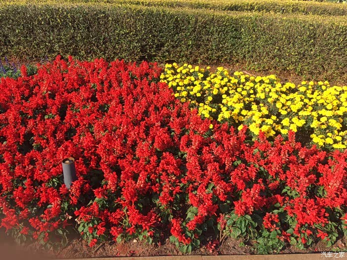 【深圳长安车友会】663-会泽公园之旅