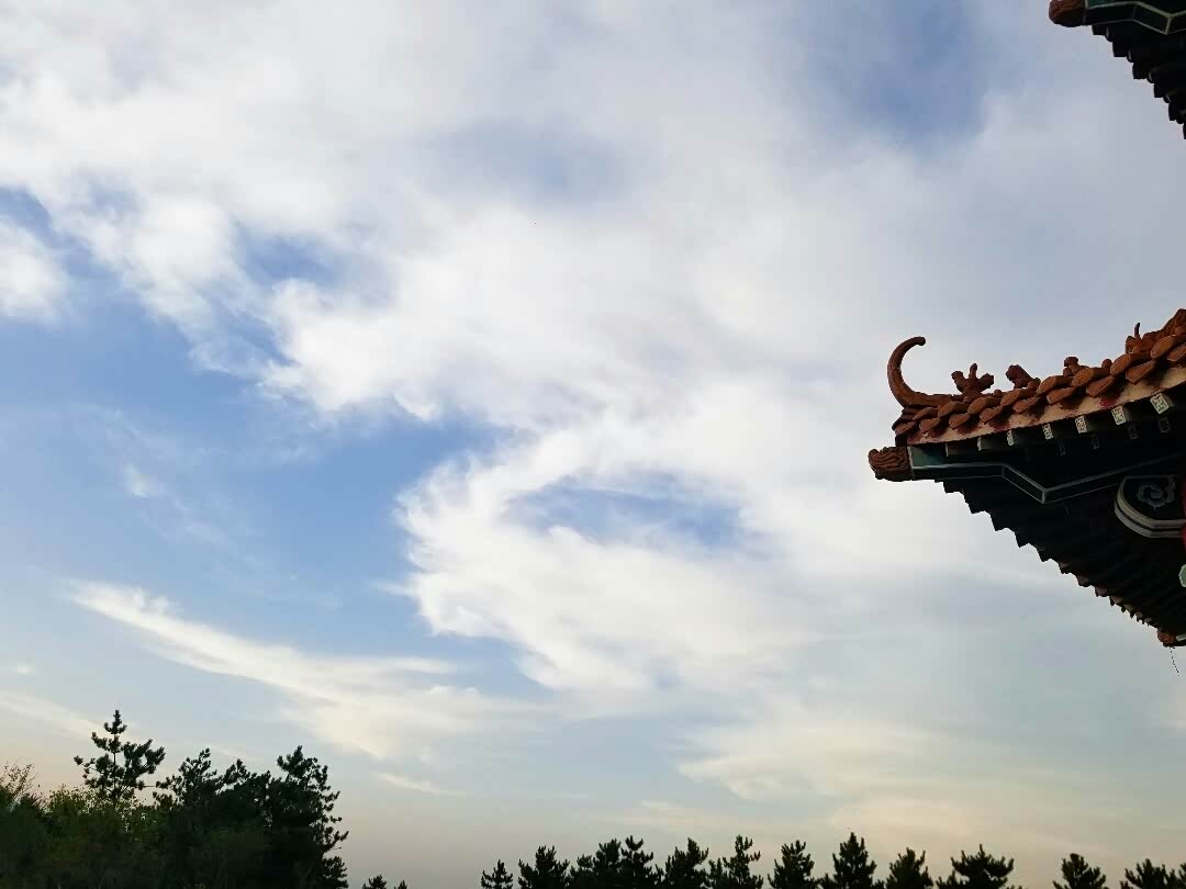 小六爱自拍:夏日夕阳里的风景照